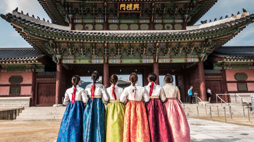 BUSAN - SEOUL - NAMI - NGẮM HẢI ÂU - Image - 14590